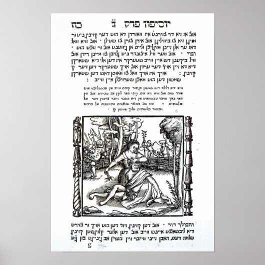 Samson und Delilah Poster (Vorne)