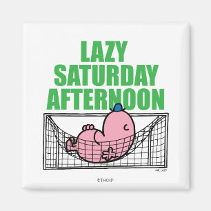 Samstagnachmittag mit Herrn Lazy Magnet