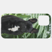 Samsung Galaxy Hülle französische Bulldogge Samsu iPhone Hülle (Hinten horizontal)
