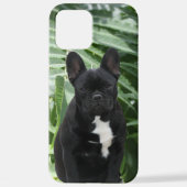 Samsung Galaxy Hülle französische Bulldogge Samsu iPhone Hülle (Rückseite)