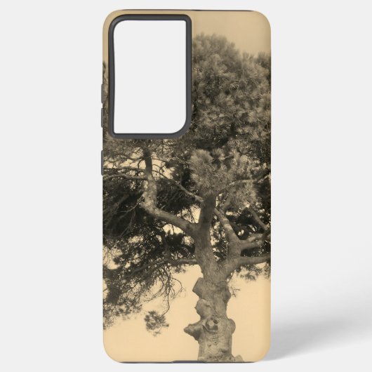 SAMSUNG GALAXY S21 ULTRA FALL COOLE ÖKO HÜLLE (Rückseite)