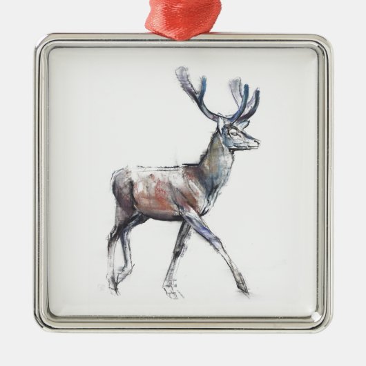 Samt 2006 silbernes ornament (Vorne)