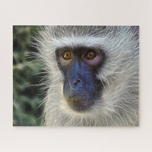 Samt-Affe. Puzzle (Horizontal)