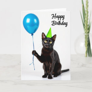 Samt Katzenpartyhut Karte