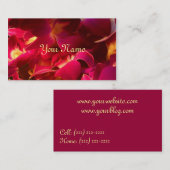 Samt Visitenkarte (Vorne/Hinten)