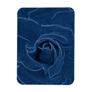 samtblaue Rose Magnet