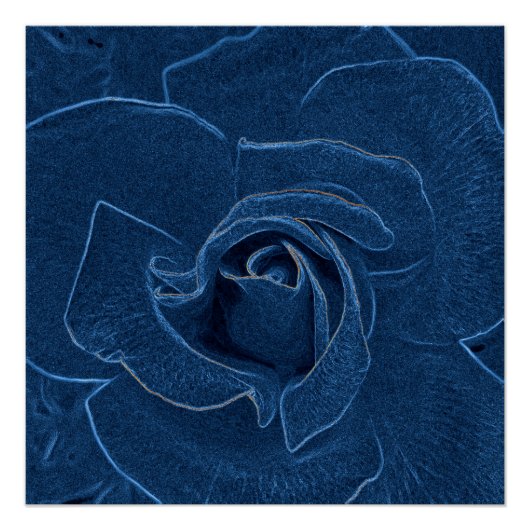 samtblaue Rose Poster (Vorderseite)