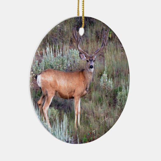 Samtdollar Keramikornament (Rechts)