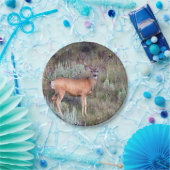 Samtdollar Pappteller (Party)