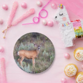 Samtdollar Pappteller (Party)