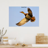 Samtente Poster (Küche)