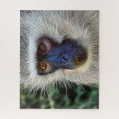 Samtmonkey. Puzzle (Vertikal)