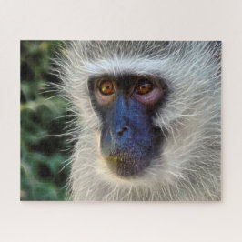 Samtmonkey. Puzzle