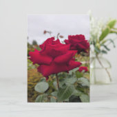 Samtrote Rose Einladung (Stehend Vorderseite)