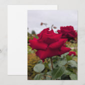 Samtrote Rose Einladung (Vorne/Hinten)