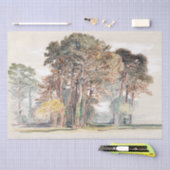 Samuel Colman | Die Pinienbäume von El Monte... Seidenpapier (Handwerk)