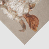 Samuel Colman | Zwei Studien über Rinder - 1876 Seidenpapier (Detail)