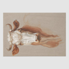 Samuel Colman | Zwei Studien über Rinder - 1876 Seidenpapier