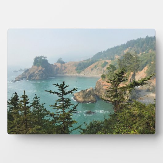 Samuel H. Boardman, Oregon Coast Fotoplatte (Vorderseite)