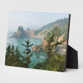 Samuel H. Boardman, Oregon Coast Fotoplatte (Seite)
