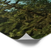 Samuel H. Boardman, Oregon Coast Poster (Ecke)