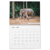 Samui Elephant Haven 2023 Kalender (Mär 2027)