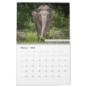 Samui Elephant Haven 2023 Kalender (Feb 2026)
