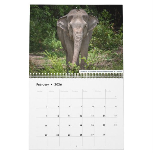 Samui Elephant Haven 2023 Kalender (Feb 2026)