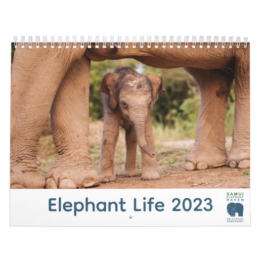 Samui Elephant Haven 2023 Kalender (Titelbild)