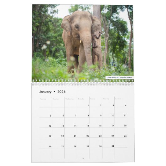 Samui Elephant Haven 2023 Kalender (Jan 2026)