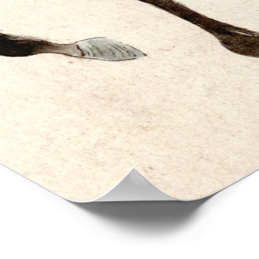 Samurai auf Horseback 1878 Poster (Ecke)