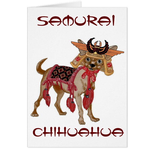 Samurai-Chihuahua (Vorne)