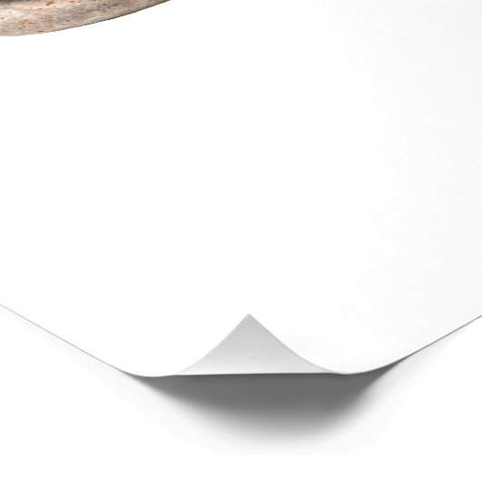 Samurai Poster (Ecke)