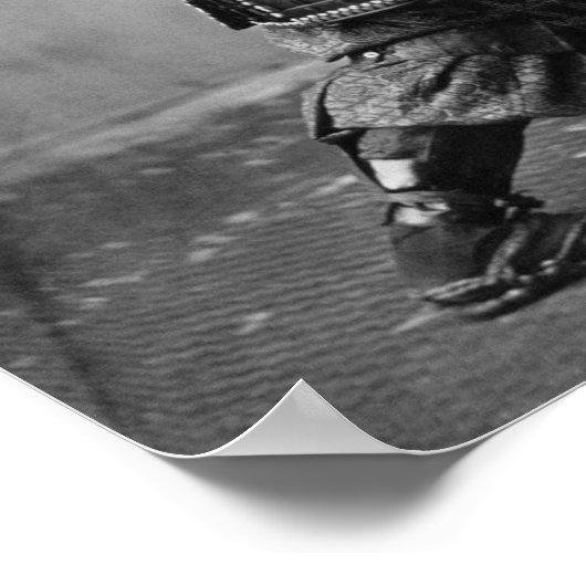 Samurai Stance Poster (Ecke)