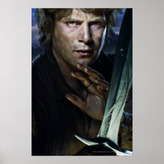 Samwise Poster (Vorne)