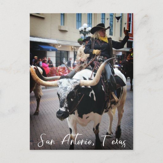 San Antonio Longhorn Postkarte (Vorderseite)