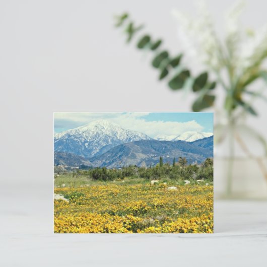 San Bernardino Berge, Schnee, Blume Blume Postkarte (Stehend Vorderseite)