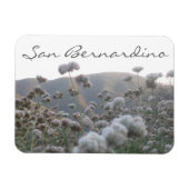 San Bernardino Magnet (Horizontal)