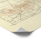 San Bernardino Quadrangon mit San Andreas Rift Poster (Ecke)