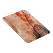 San, Bushman Rock Art, Cederberg Wilderness Magnet (Rechte Seite)