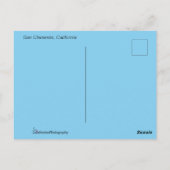 San Clemente Beach Postkarte (Rückseite)