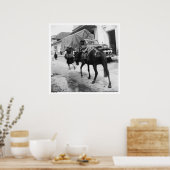 San Cristobal de Las Casas, Chiapas, Mexiko Poster (Küche)