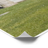 San Diego Condiminiums Poster (Ecke)