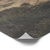 San Diego Foto Torrey Pines Beach Große Printwerbu Poster (Ecke)