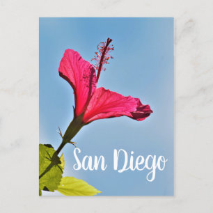 San Diego Hibiskus Feiertagspostkarte