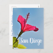 San Diego Hibiskus Feiertagspostkarte (Vorne/Hinten)