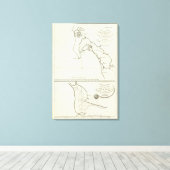 San Diego, Kalifornien Leinwanddruck (Insitu (Holzboden))