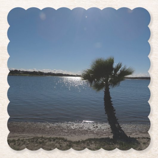 San Diego Palm Tree Paper Untersetzer (Vorderseite)