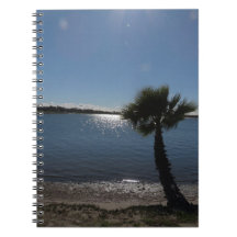 San Diego Palm Tree Spiral Foto Notebook