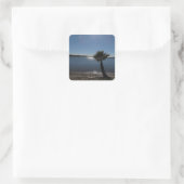 San Diego Palm Tree Sticker (Tasche)
